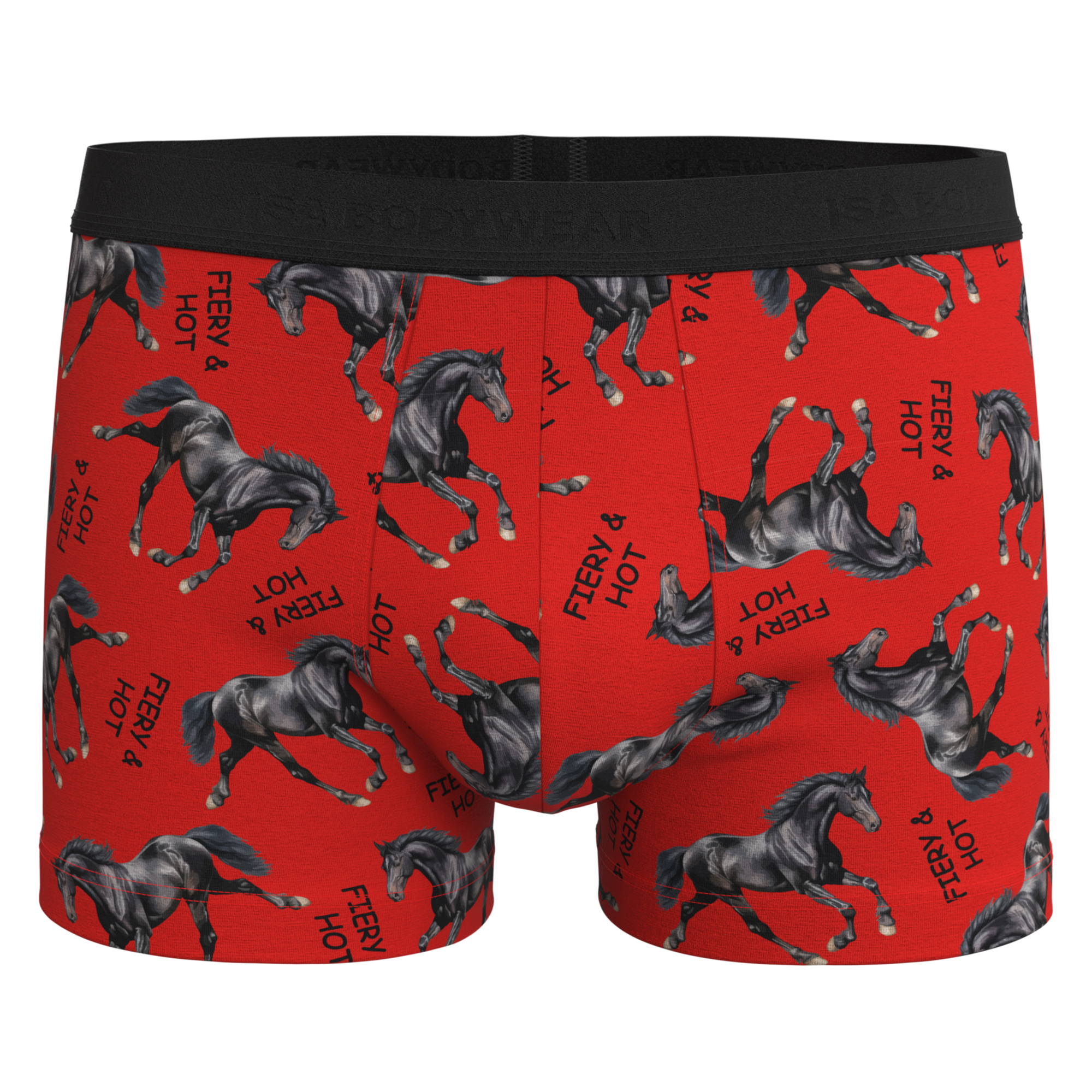 Panty Andy