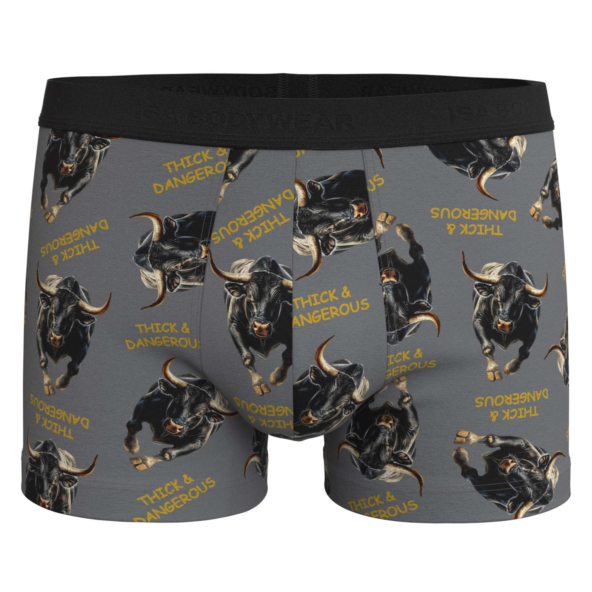 Panty Andy