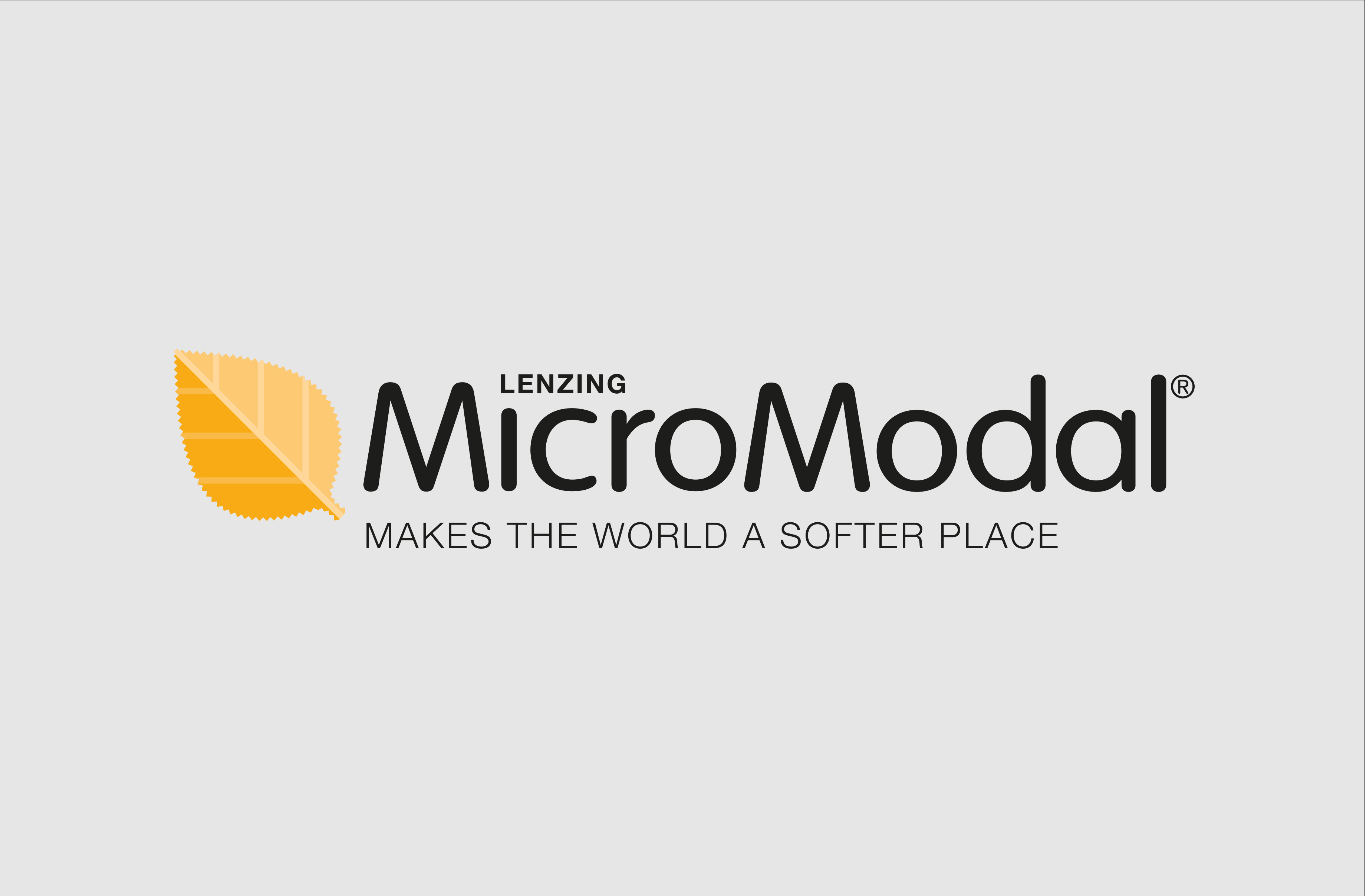 media/image/MicroModal_Mobil.jpg